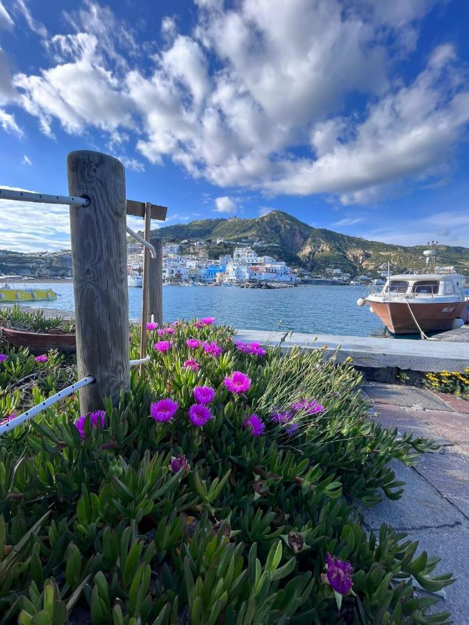 Casa Di Iorio Via Del Sole 1 Ischia Exterior foto